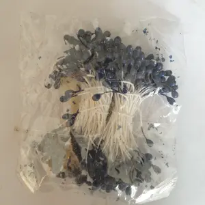 Non-Edible High End Artificial Pollen Stem ( Black )