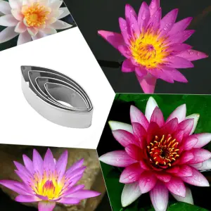 4 Pcs Water lily Petal Fondant Sugar craft Stainless Steel Cutter set