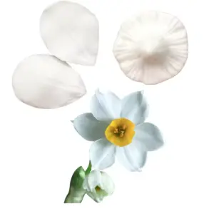 Daffodil Flower Petal Veiner Silicone Mould